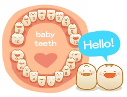 شماره گذاری دندان ها در کودکان