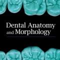 یادگیری آناتومی دندان و مورفولوژی